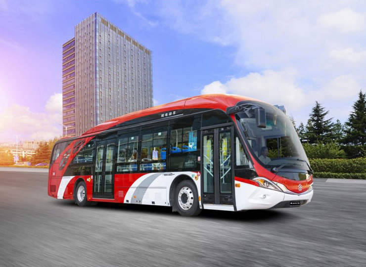 12m Dolphin Bus