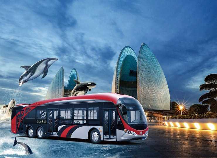 13.7m Dolphin Bus
